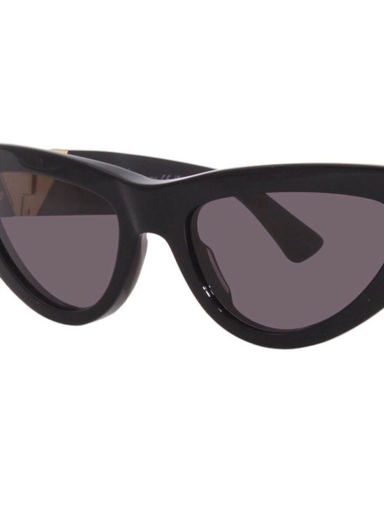 Women\'s Bottega Veneta Sunglasses main image 7